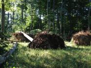 Unwetter, der Tag danach