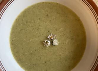 Suppe