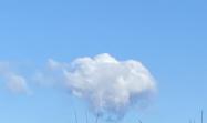 Schweinchenwolke