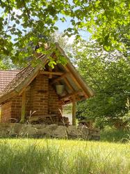 Backhaus