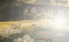 Der flüsternde Garten