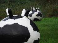 Kunstwerk Kühe