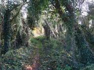 Wanderweg Kunst nach Belzig