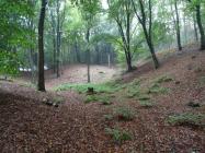 Rummel Schlamau-Wiesenburg